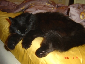 max 007.jpg
